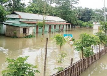 NGO demands relief for plain belt residents hit by flood