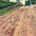 ACHDO demands immediate repair of Phulbari-Dadenggre Road