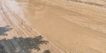 AMMSU seeks cancellation of road repair contract