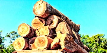 Illegal timber vehicle seized from Garobadha