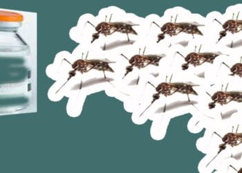 West Garo Hills to administer vaccine against Japanese encephalitis