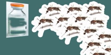 West Garo Hills to administer vaccine against Japanese encephalitis