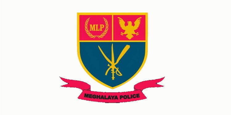 Police arrest man for violent assault of 63-year-old woman