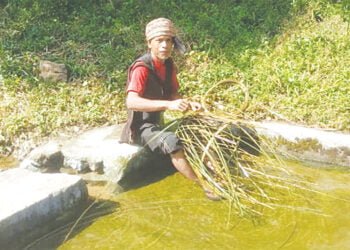 ‘Bamboo industry to play crucial role in post-COVID economy’
