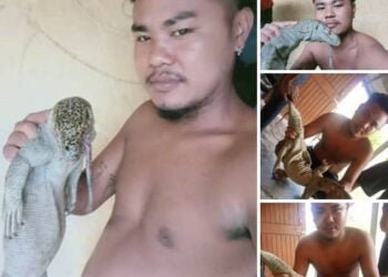 Man who killed protected monitor lizard believed to be in Assam