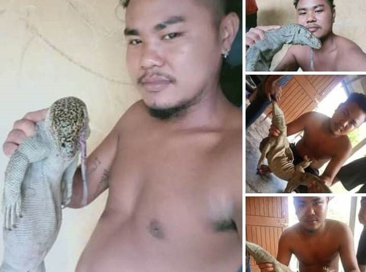 Man who killed protected monitor lizard believed to be in Assam