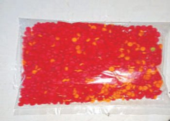 South Garo Hills police seize 1701 Yaba tablets