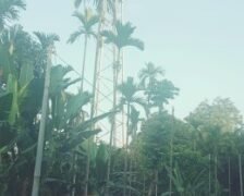 Poor network irks people in Mawlong