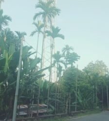 Poor network irks people in Mawlong