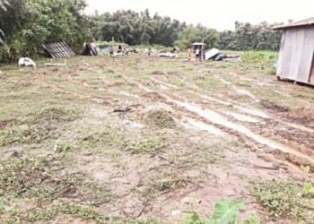 NGOs lament inaction against ‘illegal squatters’ in Wadagokgre
