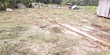 NGOs lament inaction against ‘illegal squatters’ in Wadagokgre