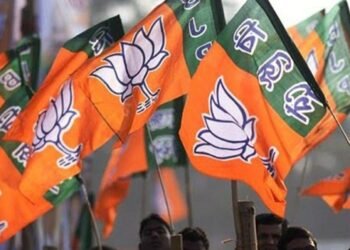 NPP is not the ‘boss’ of MDA: BJP
