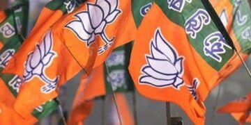 NPP is not the ‘boss’ of MDA: BJP