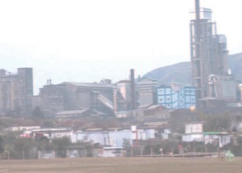 ‘Govt should continue to run MCCL’