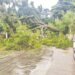 Forest dept to belatedly survey trees around Raj Bhavan after narrow escape
