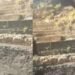 Govt following SC, NGT guidelines, no question of coal racket: Conrad