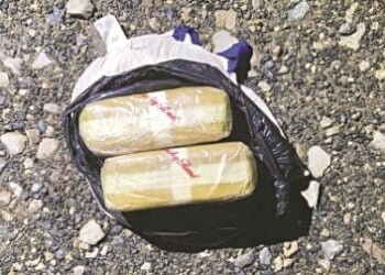 2 drugs smugglers arrested in Ri-Bhoi