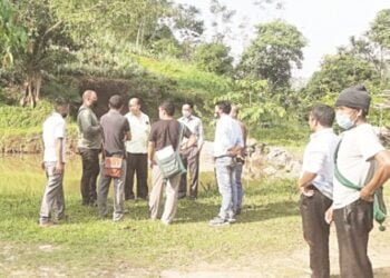 Pineapple farmers demand help to end exploitation