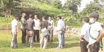 Pineapple farmers demand help to end exploitation