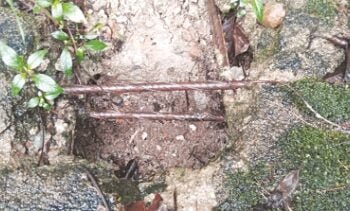 KSU opposes selection of IIT, NEHU to study reported leakages of UCIL tank