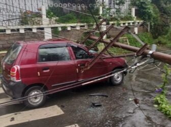 Tree falls on car, 1 hurt another escaped