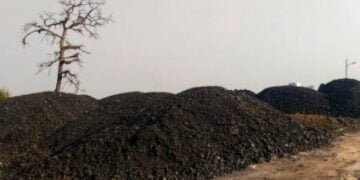 SC allows Agnes to raise coal racket issue before NGT