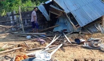 Elephants destroy 12 homes in fresh rampage