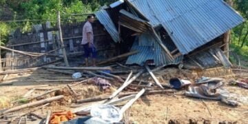 Elephants destroy 12 homes in fresh rampage