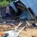 Elephants destroy 12 homes in fresh rampage