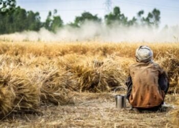 Ri-Bhoi border farmers living in fear: Hill Farmers Union