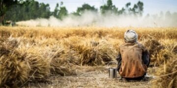 Ri-Bhoi border farmers living in fear: Hill Farmers Union