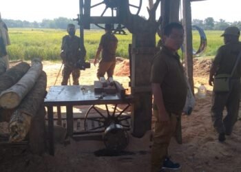 GHADC smashes operation of illegal sawmill