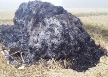 Farmer’s toil reduced to ashes by barbarous arsonists