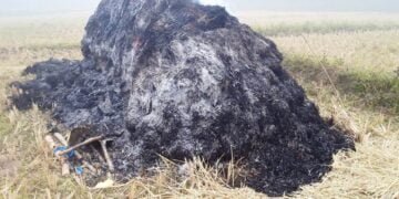 Farmer’s toil reduced to ashes by barbarous arsonists