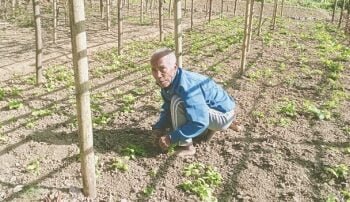 80-year-old farmer proves age is just a number