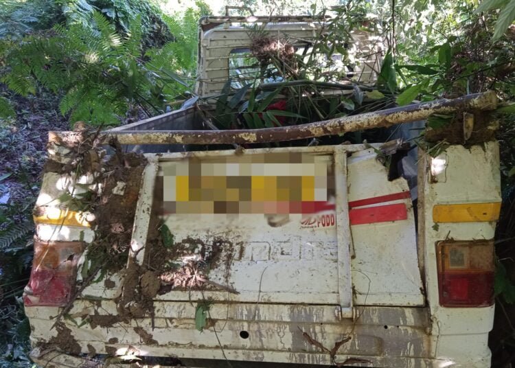 One killed in accident near Panda Reserve