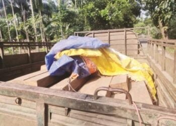NGO apprehends illegal timber consignment in North Garo Hills