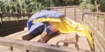 NGO apprehends illegal timber consignment in North Garo Hills