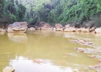 Lukha River: Addl DC inspects rejuvenation project