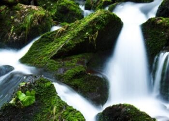 M’laya to set up nodal agency for cleaning of polluted rivers