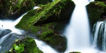 M’laya to set up nodal agency for cleaning of polluted rivers