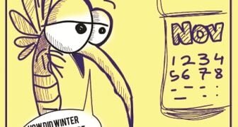Musey-Toon