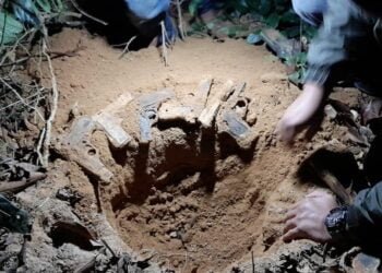 More stashed weapons recovered in East Garo Hills