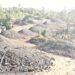 Non-existent coal auctioned by SWKH admin in Borsora?