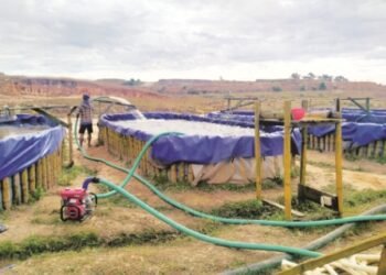 Algae-based cure for Jaiñtia rivers takes off from Kyrhuh Khla