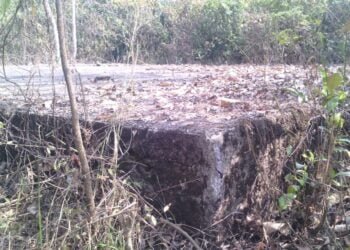 NEHU finds Nongbah Jynrin radiation within safety norms