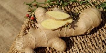 Closed ginger plant in Byrnihat to be made functional