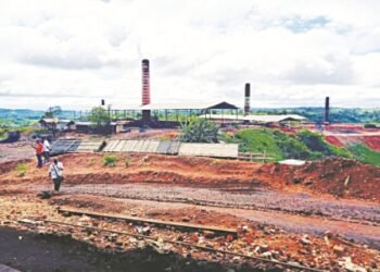 NGT panel directs action against illegal coke plants