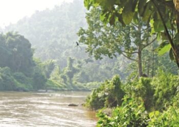 Nongkhyllem rated as best wildlife sanctuary in entire North East
