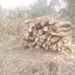 Nokma sells off forest products within A’king, allows timber felling